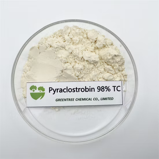 Fungicide & Bactericide Pyraclostrobine 98tc for Sale